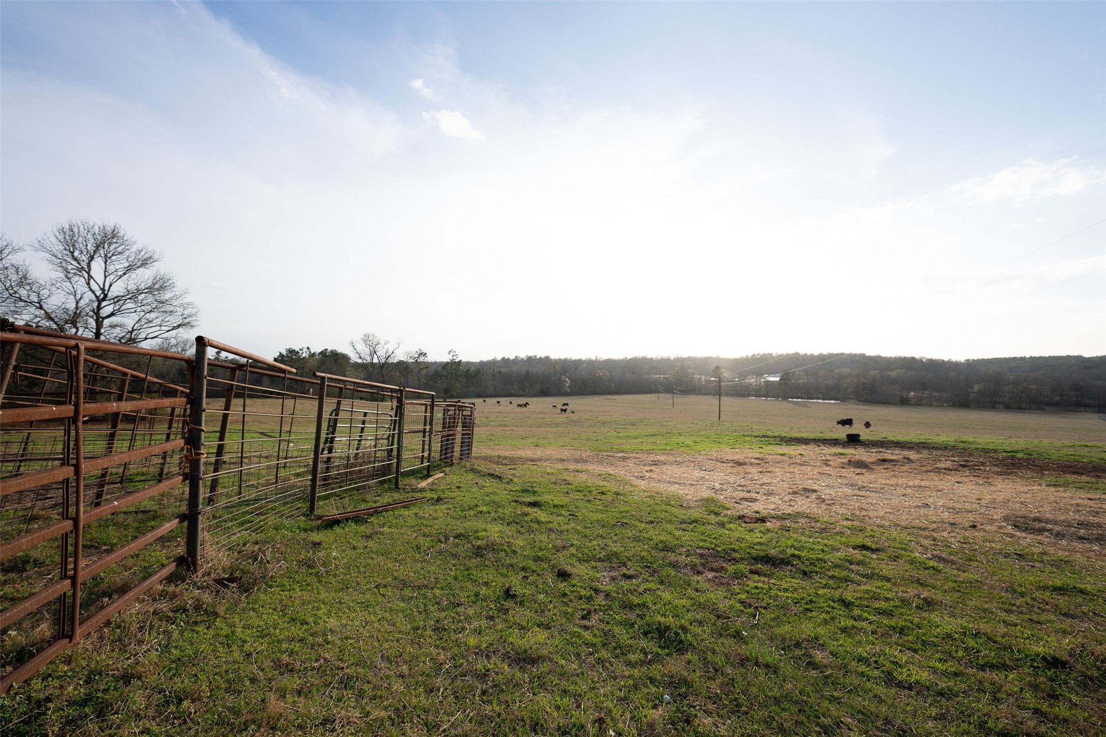 2265 County Road 1613 Jacksonville TX 75766