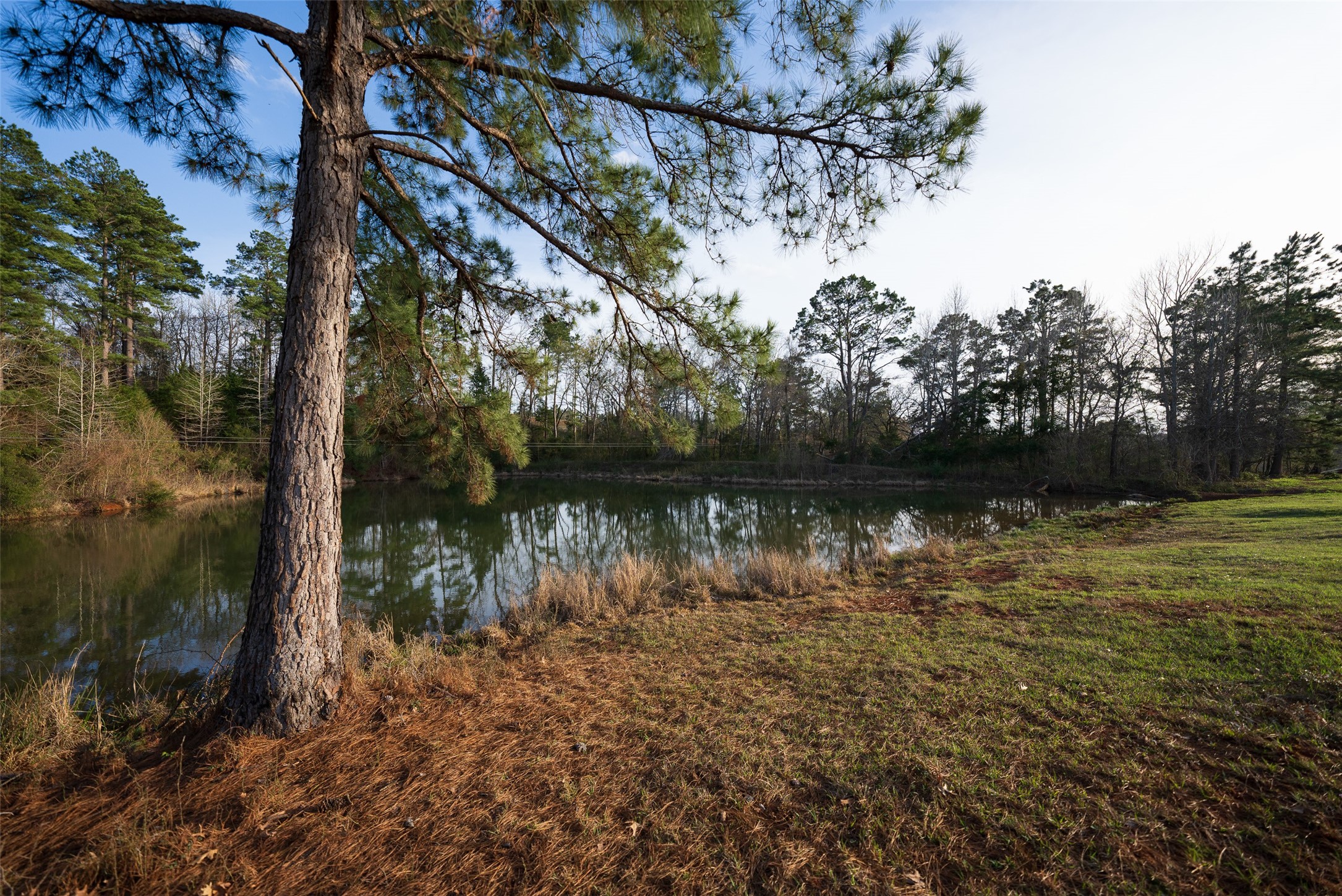 2265 County Road 1613 Jacksonville TX 75766