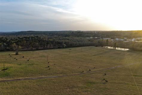 2265 County Road 1613 Jacksonville TX 75766