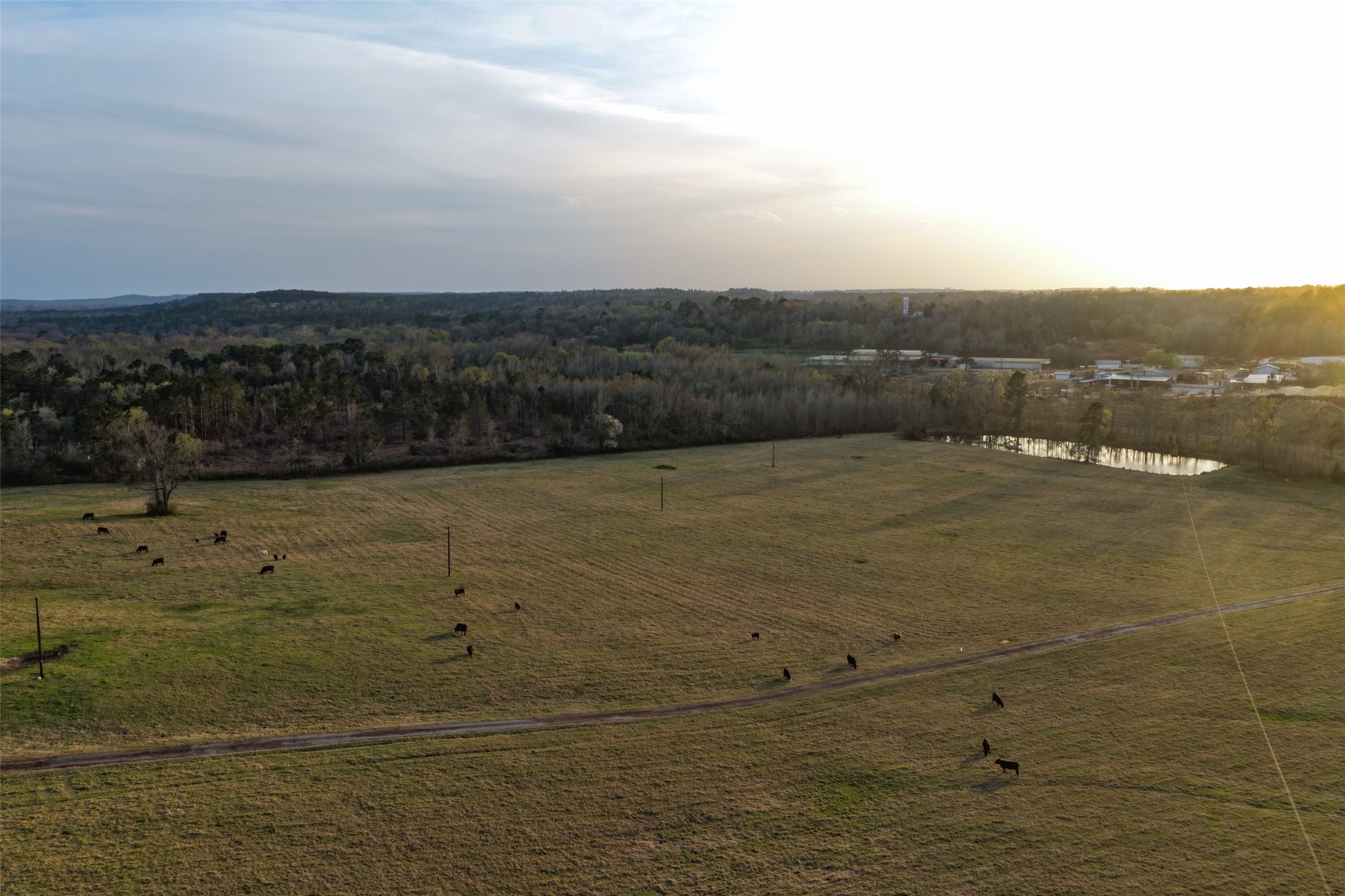 2265 County Road 1613 Jacksonville TX 75766