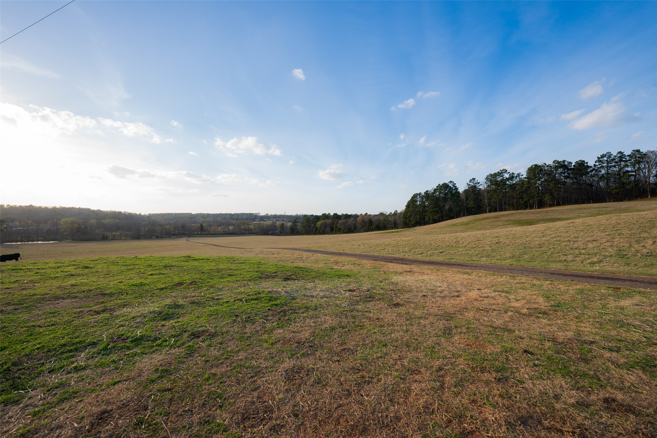 2265 County Road 1613 Jacksonville TX 75766