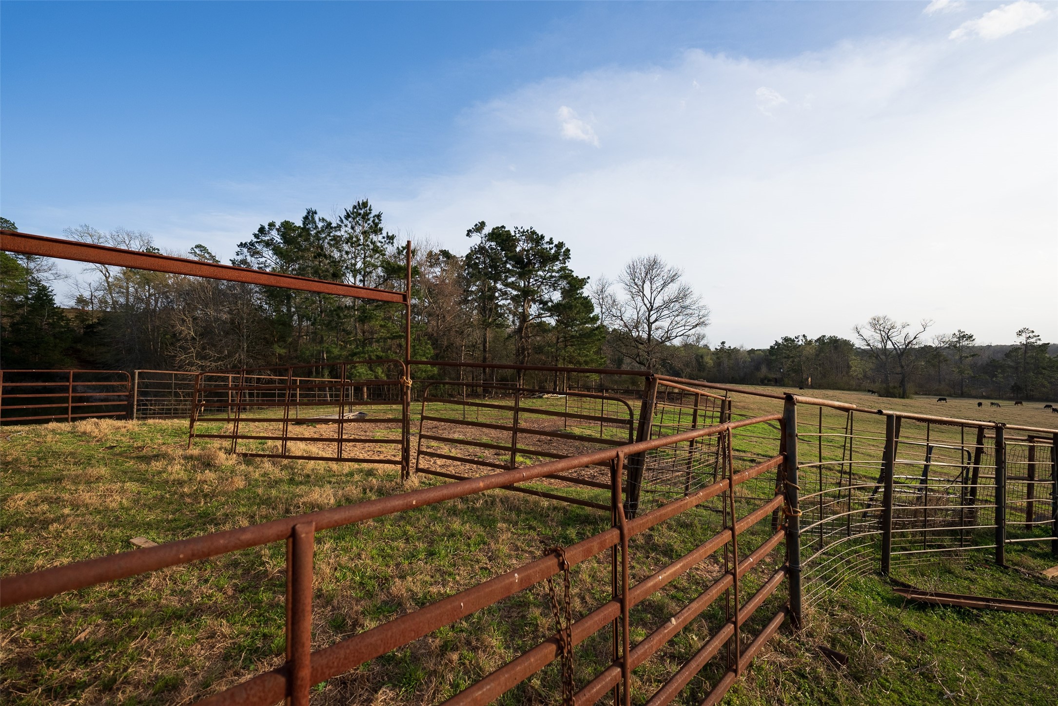 2265 County Road 1613 Jacksonville TX 75766