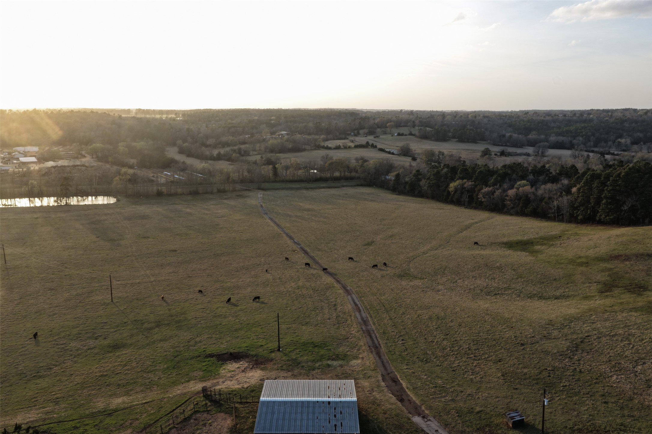 2265 County Road 1613 Jacksonville TX 75766