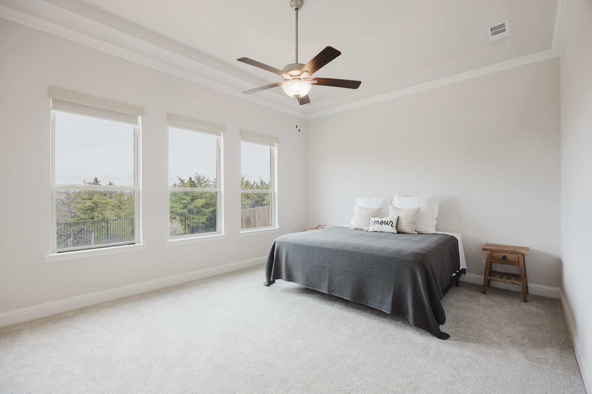 3216 Creek Meadow Drive Anna TX 75409