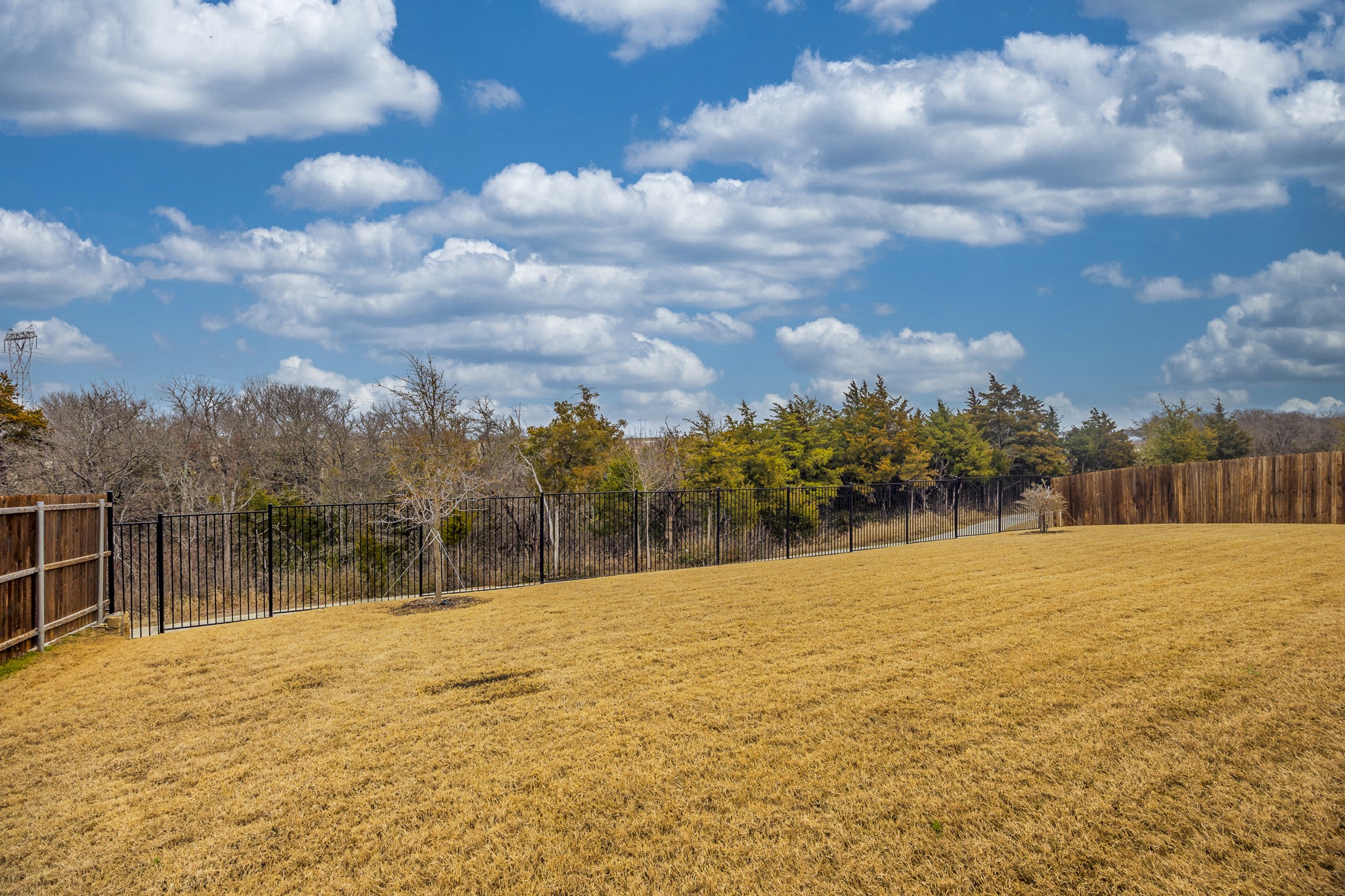 3216 Creek Meadow Drive Anna TX 75409