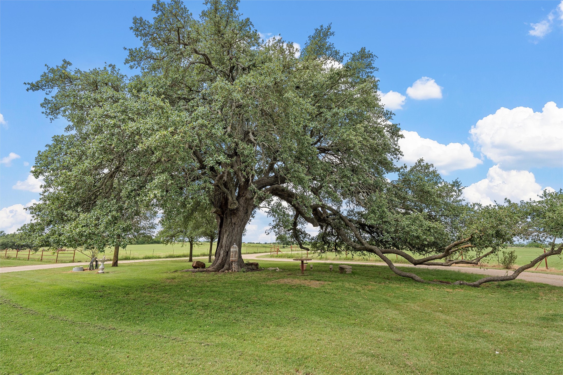 654 County Road 473 Lott TX 76656