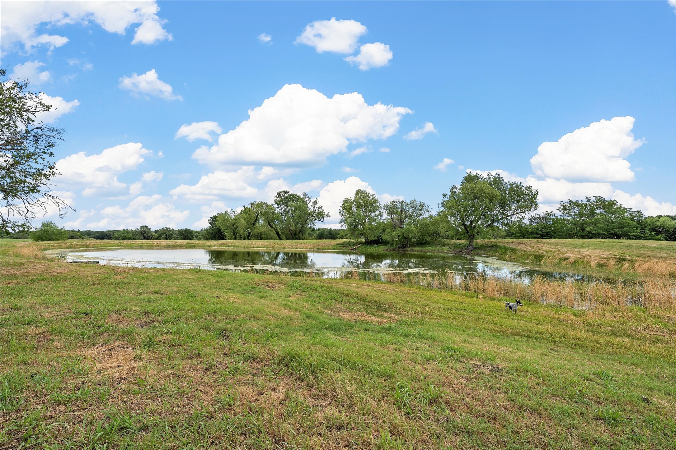 654 County Road 473 Lott TX 76656