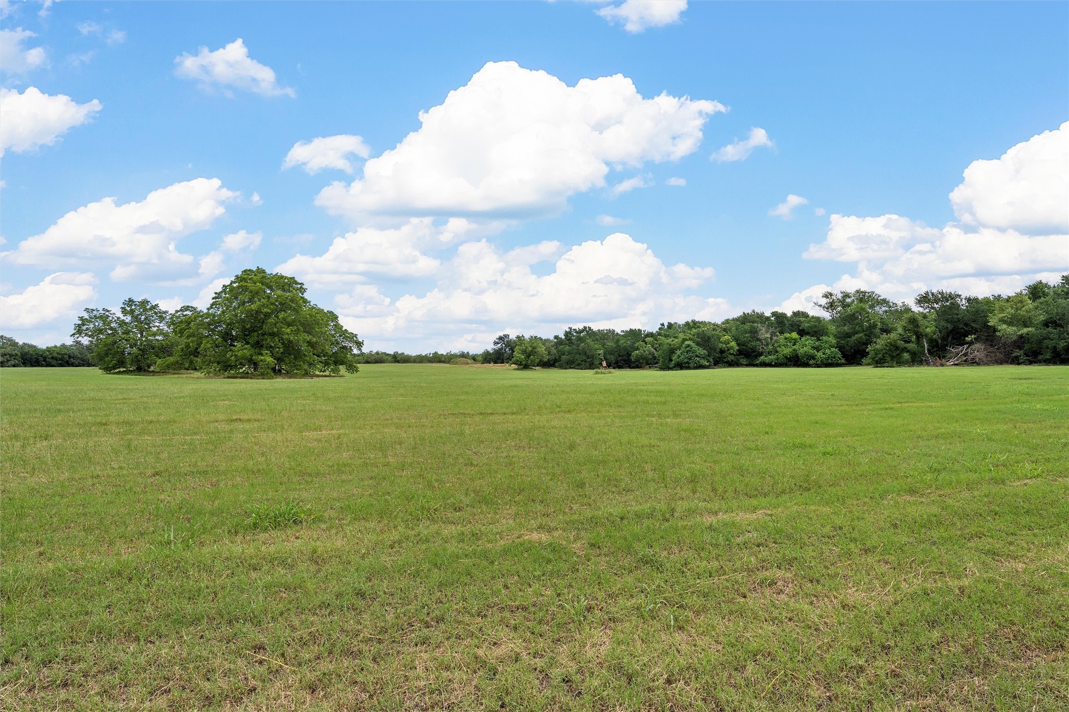 654 County Road 473 Lott TX 76656