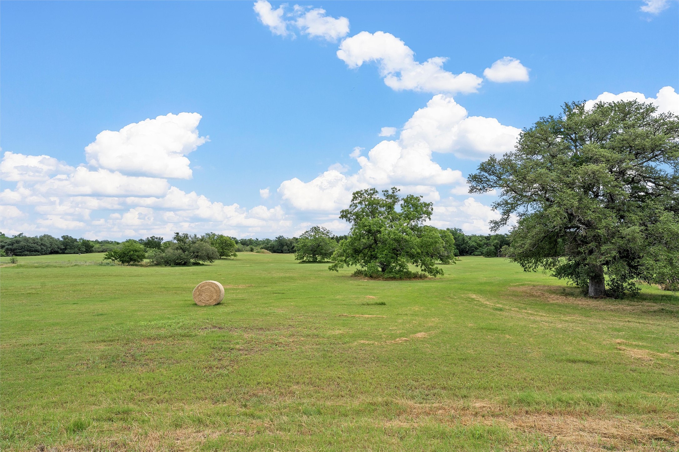 654 County Road 473 Lott TX 76656