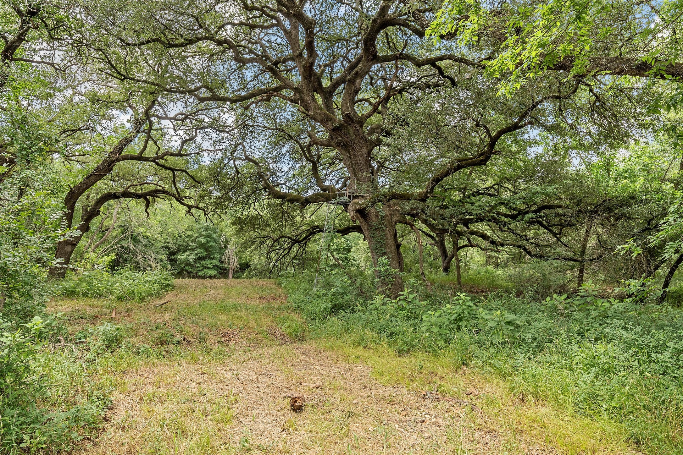 654 County Road 473 Lott TX 76656