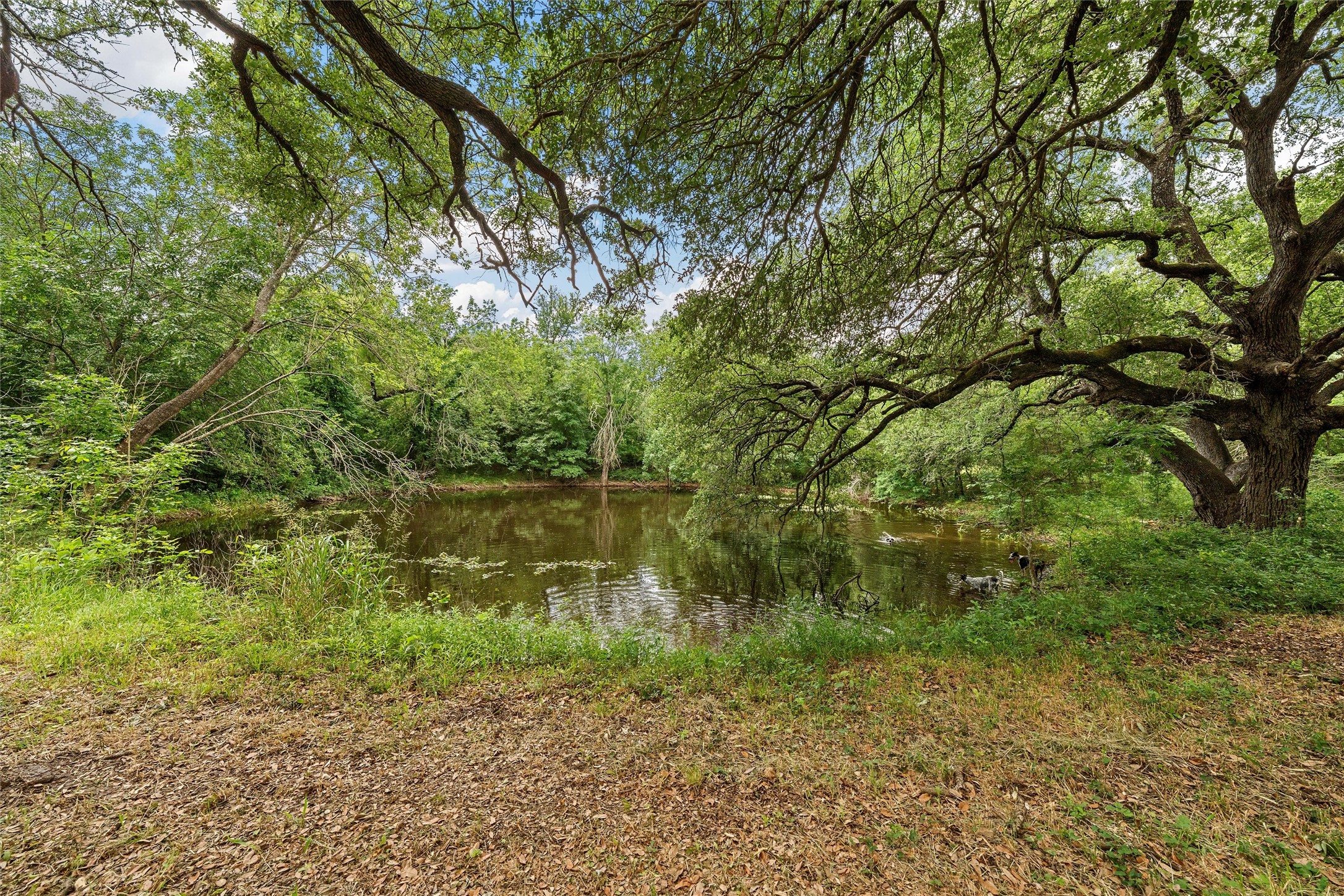 654 County Road 473 Lott TX 76656