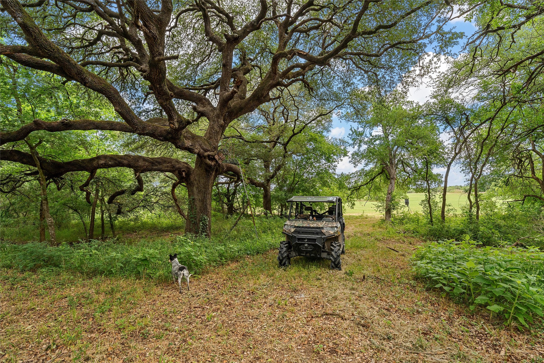 654 County Road 473 Lott TX 76656
