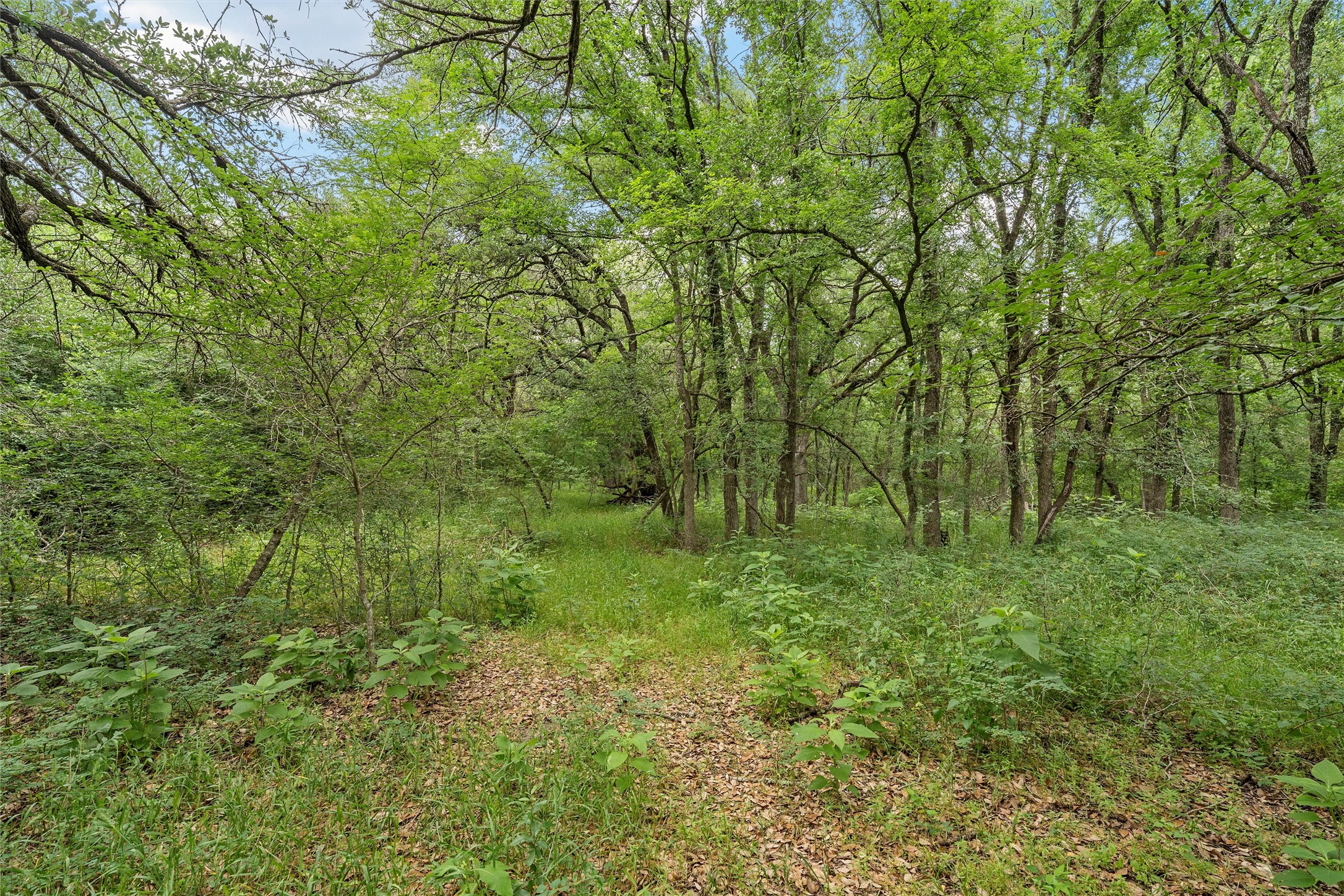 654 County Road 473 Lott TX 76656