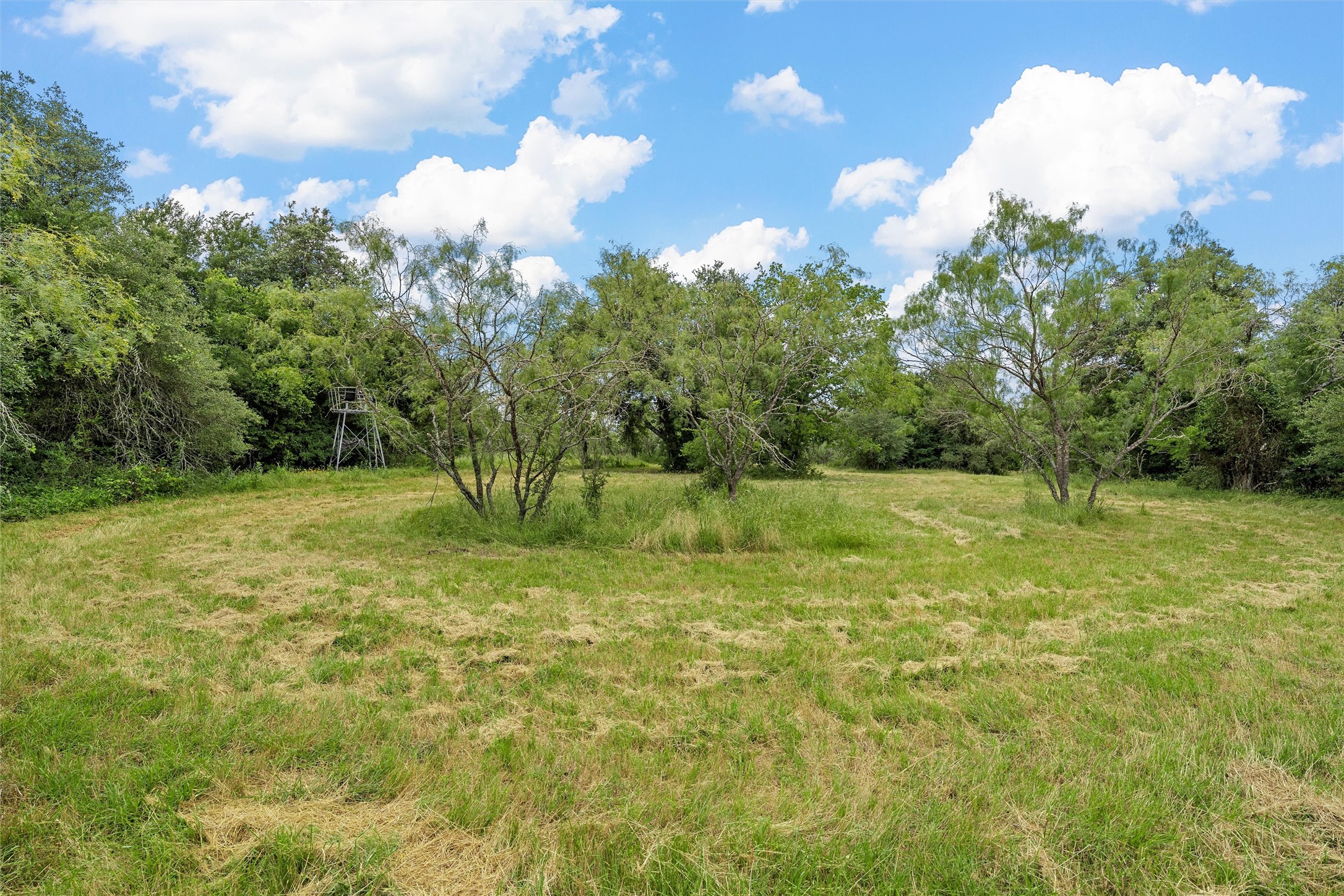 654 County Road 473 Lott TX 76656