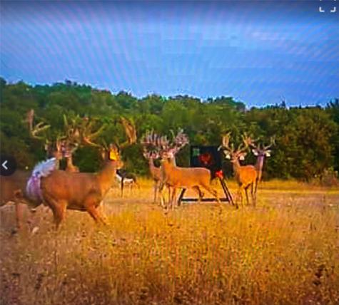 209 Private Road 2120 Meridian TX 76665