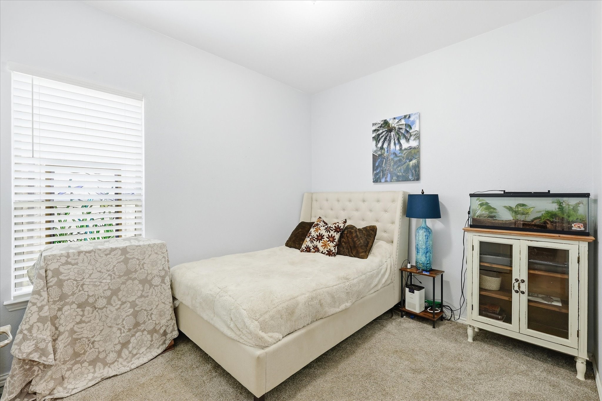 10329 Roatan Trail Fort Worth TX 76244