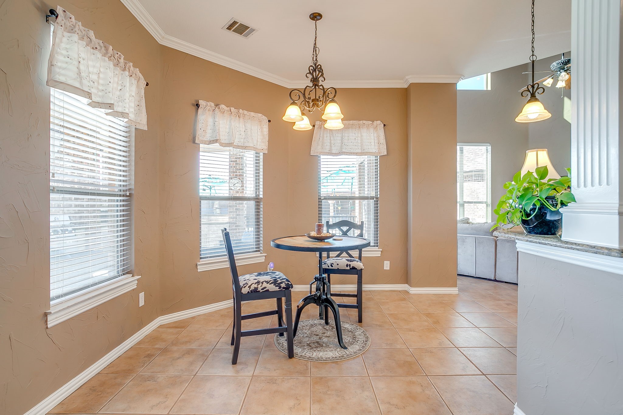 3701 Canyon Pass Trail Burleson TX 76028