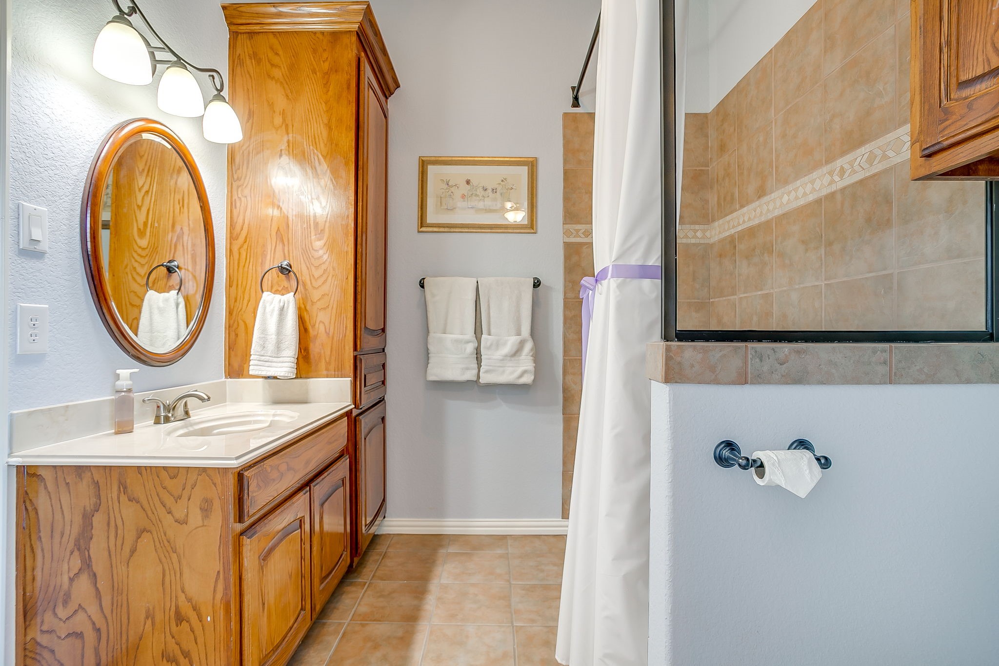 3701 Canyon Pass Trail Burleson TX 76028