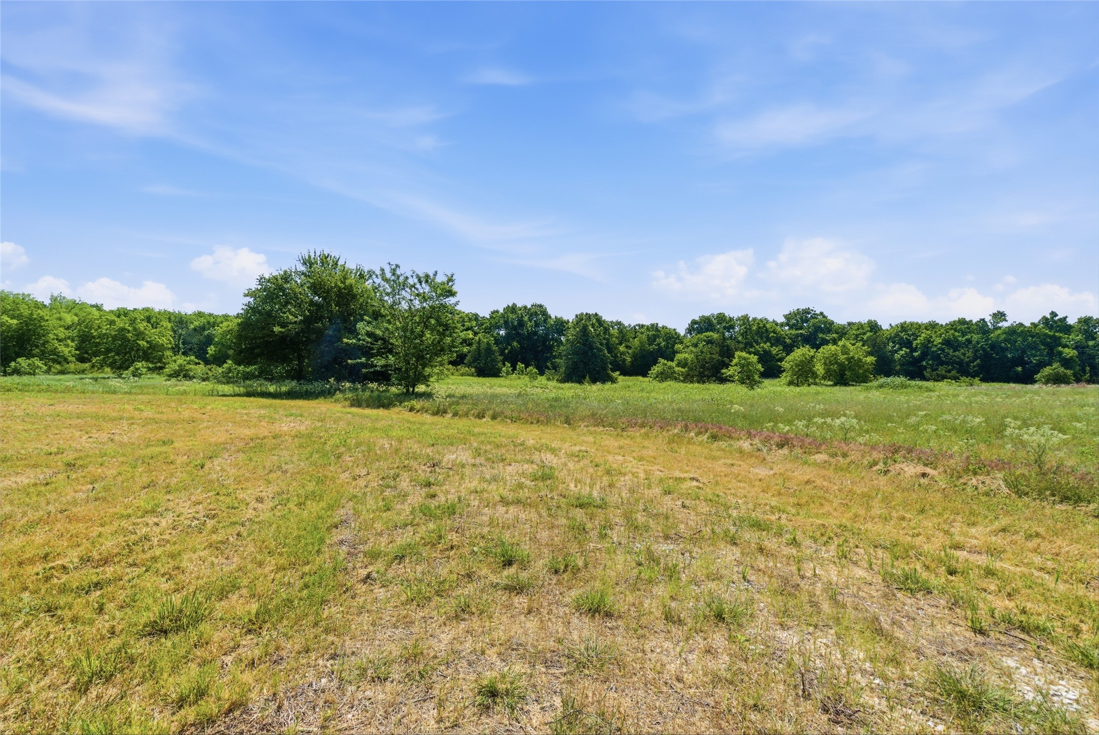 115 Pringle Court Alvord TX 76225