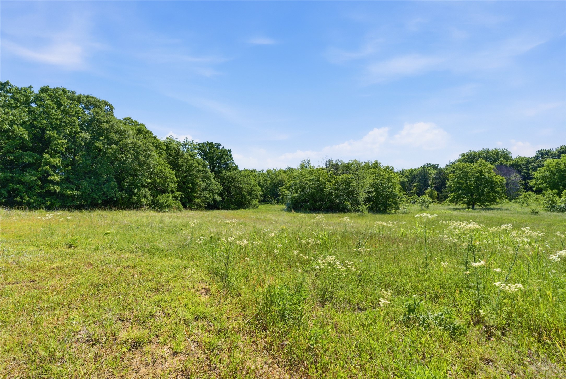 115 Pringle Court Alvord TX 76225