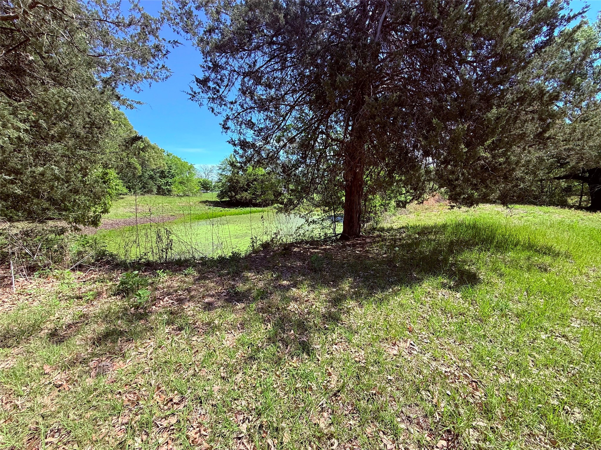 45 County Road 1197 Yantis TX 75497