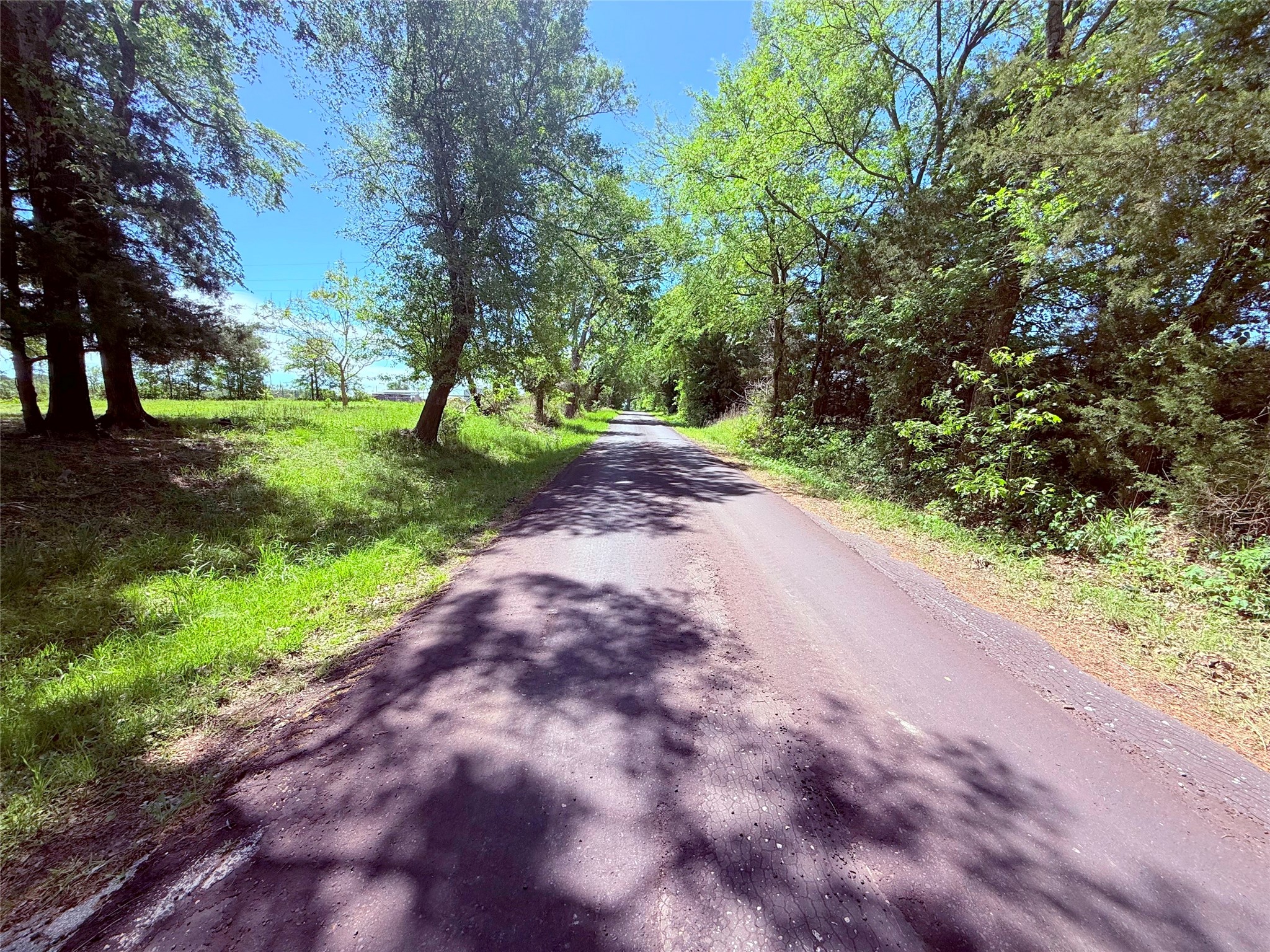 45 County Road 1197 Yantis TX 75497