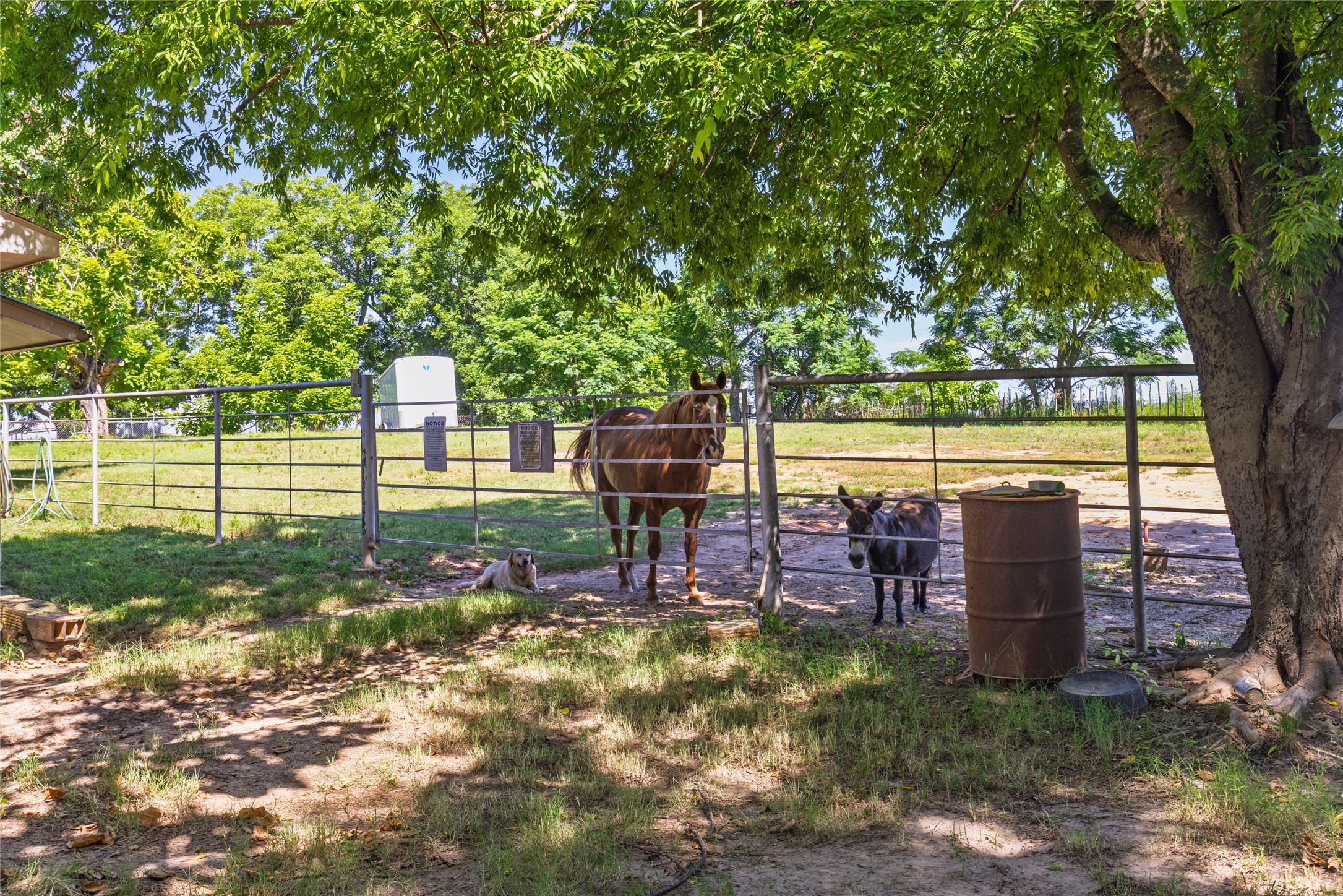 2685 N State Highway 37 Quitman TX 75783