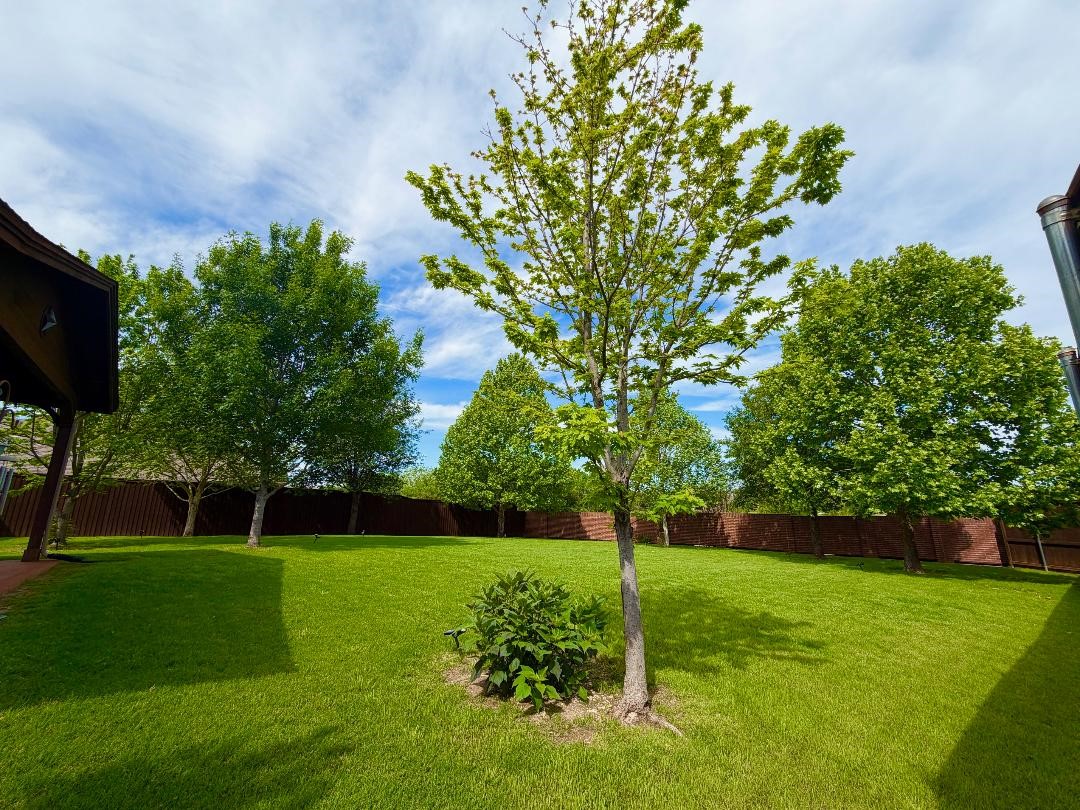 1000 Chapala Court Prosper TX 75078