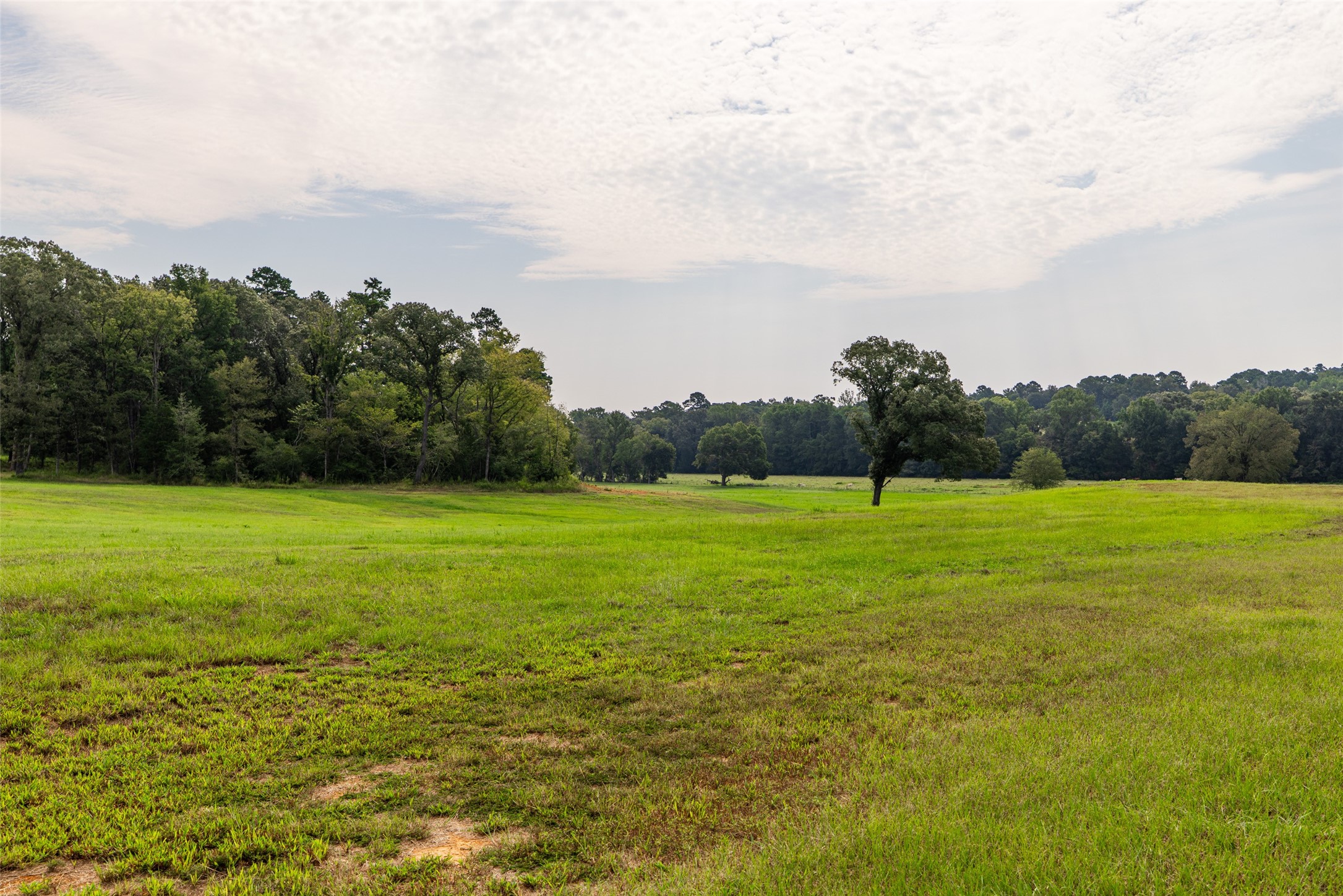 1323 An County Road 153 Palestine TX 75801
