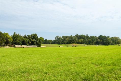 1323 An County Road 153 Palestine TX 75801