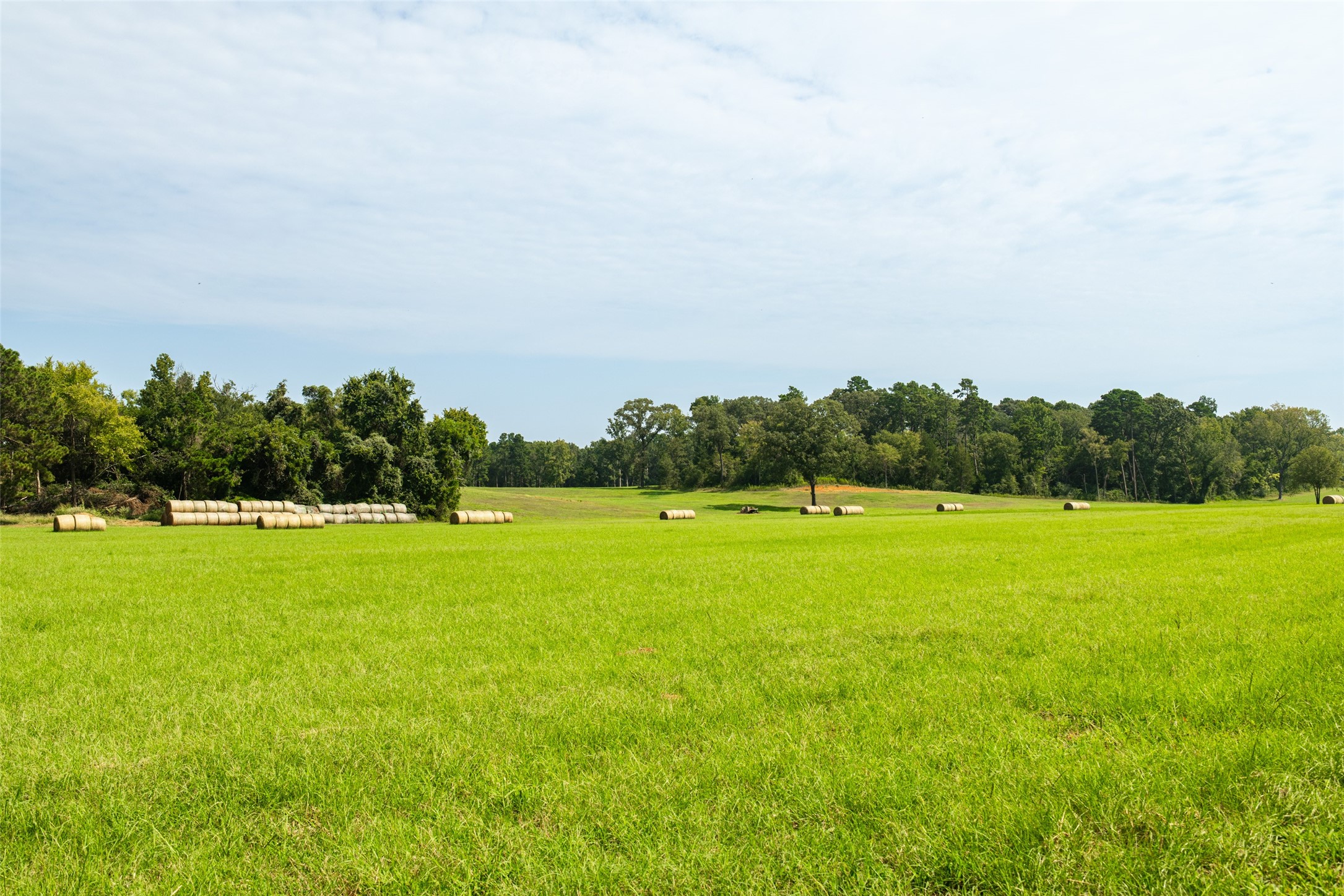 1323 An County Road 153 Palestine TX 75801