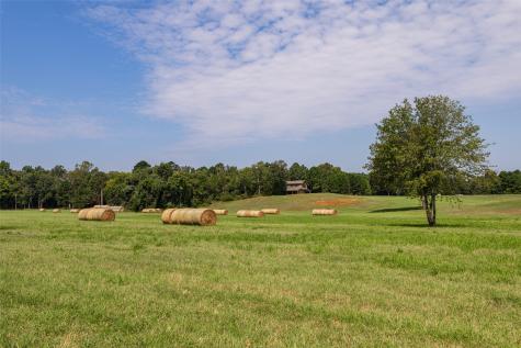 1323 An County Road 153 Palestine TX 75801
