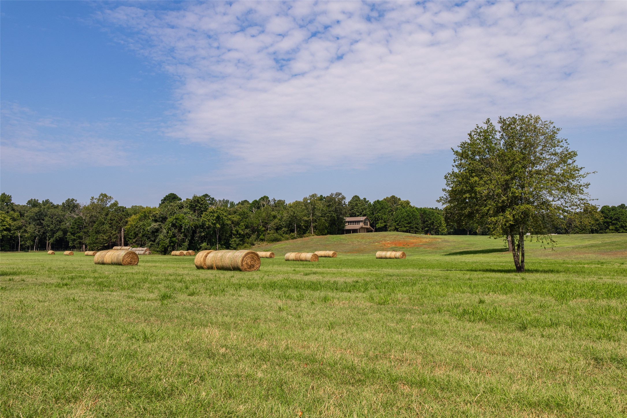 1323 An County Road 153 Palestine TX 75801