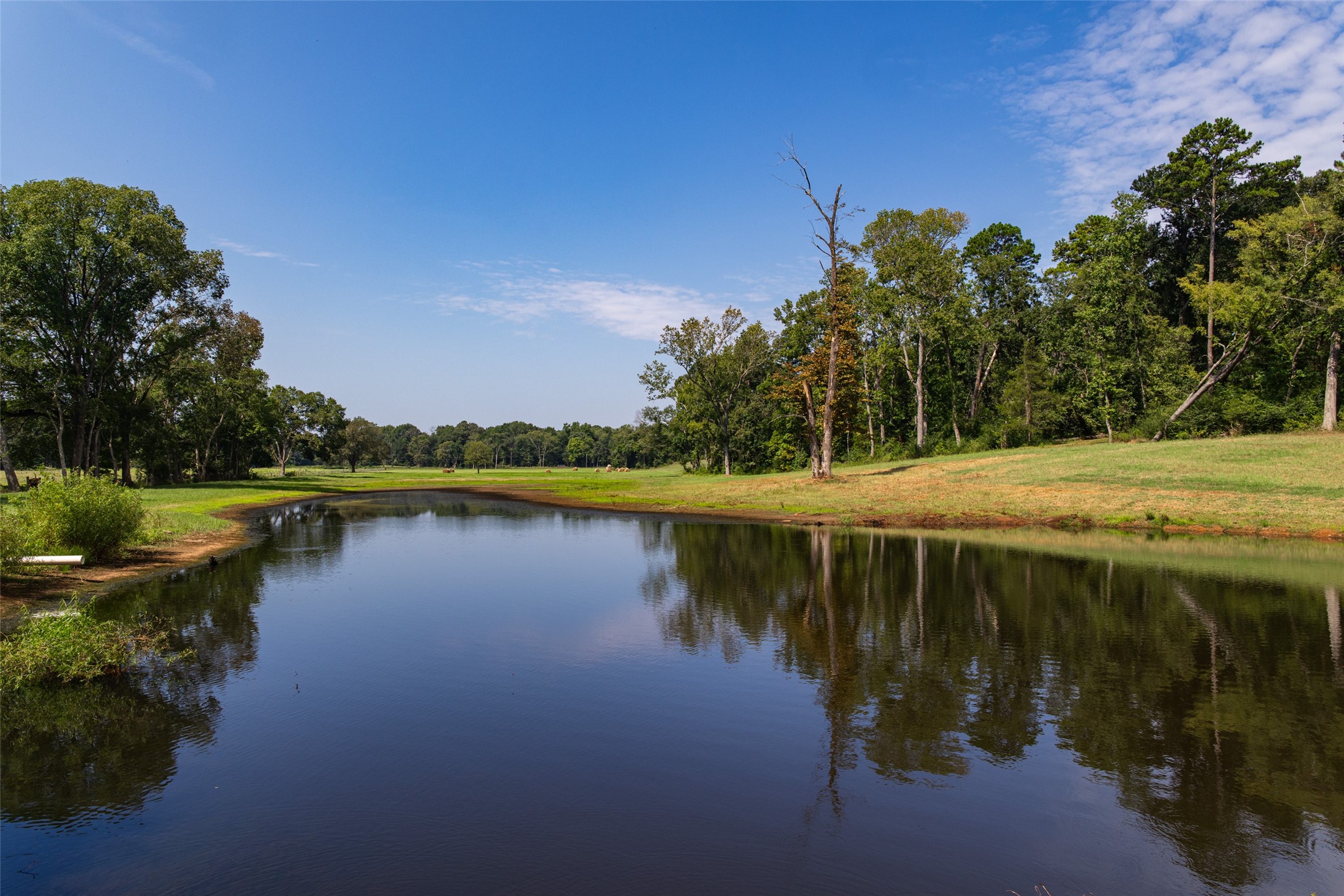 1323 An County Road 153 Palestine TX 75801