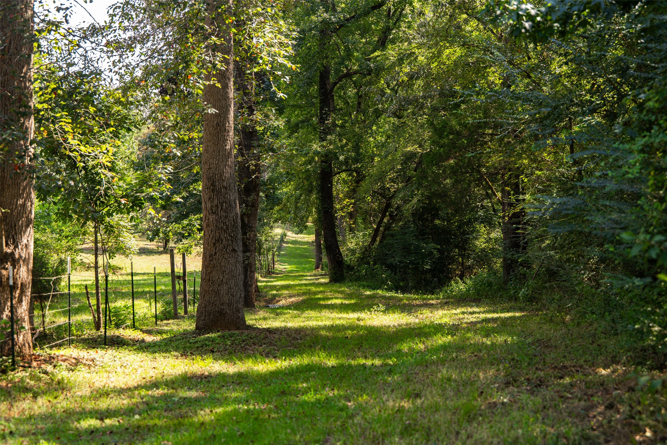 1323 An County Road 153 Palestine TX 75801