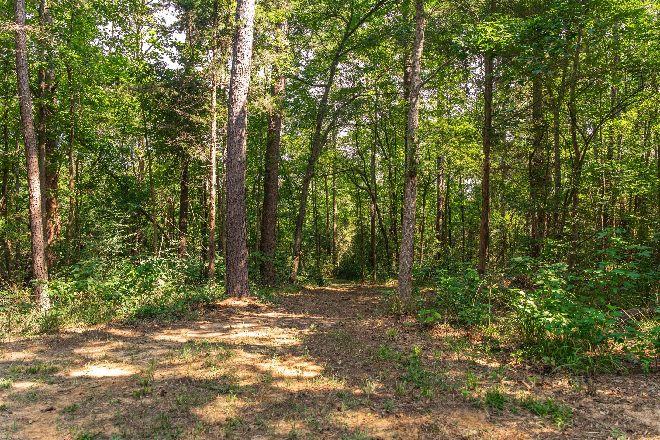 1323 An County Road 153 Palestine TX 75801