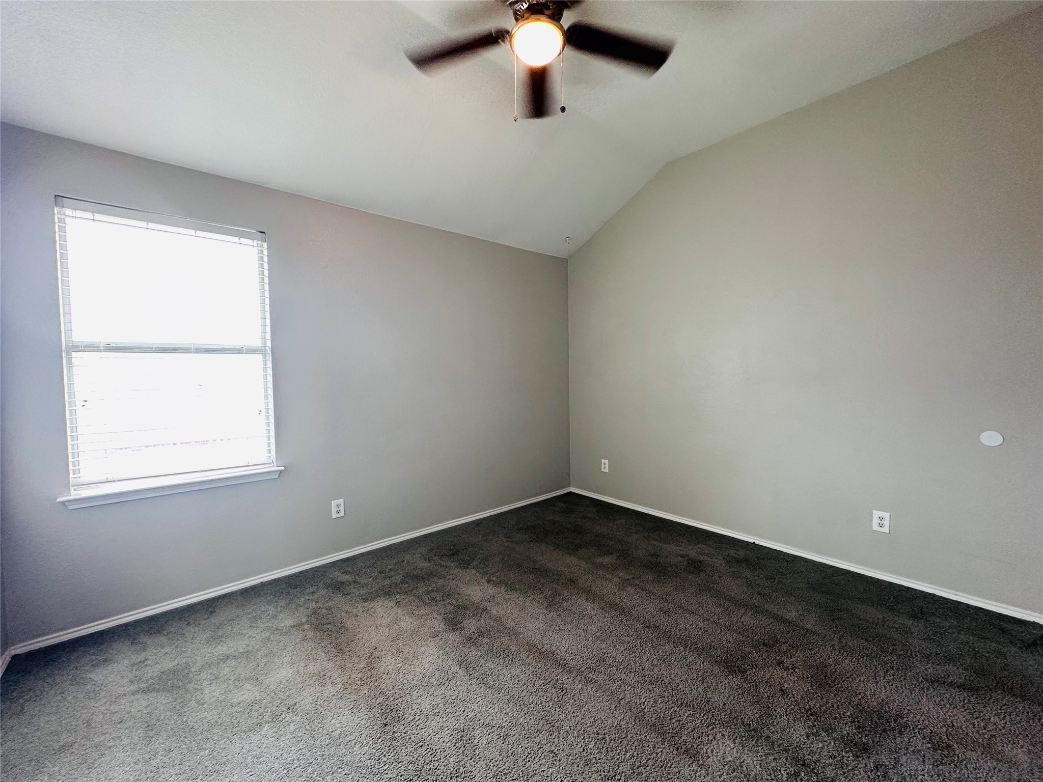 213 Spruce Trail Forney TX 75126