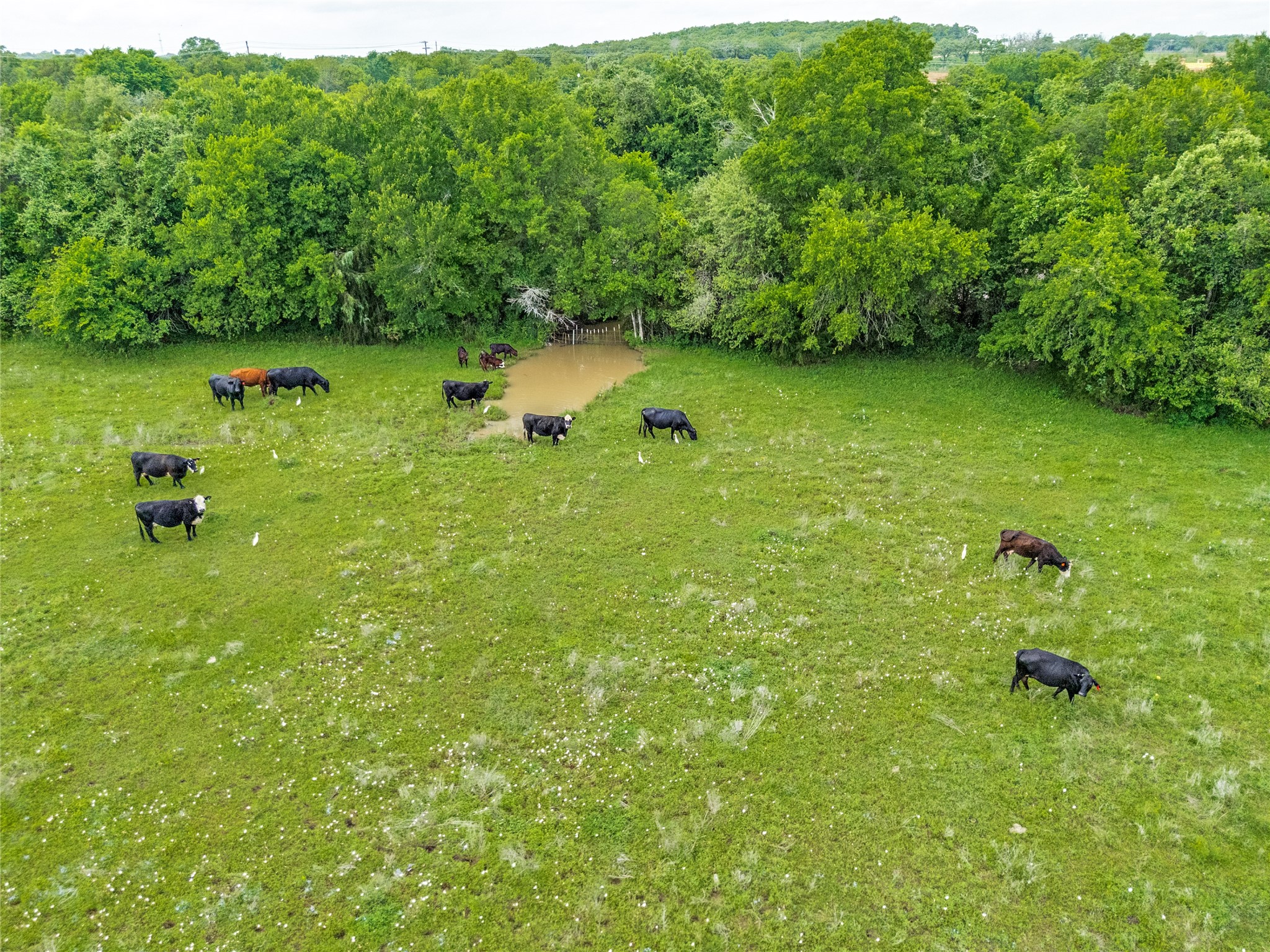 2900 County Road 317 Cleburne TX 76031