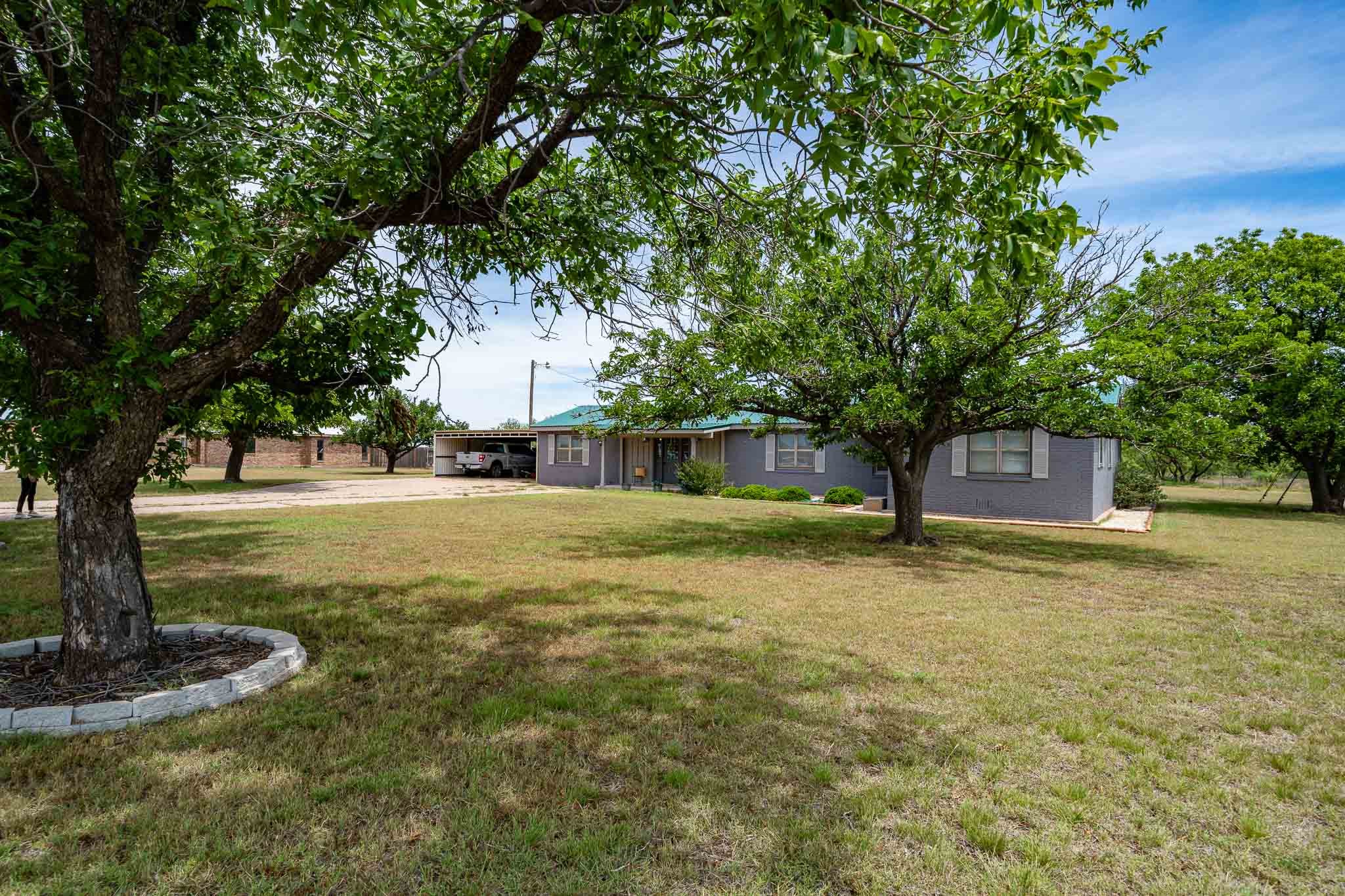 10992 State Highway 6 Avoca TX 79503