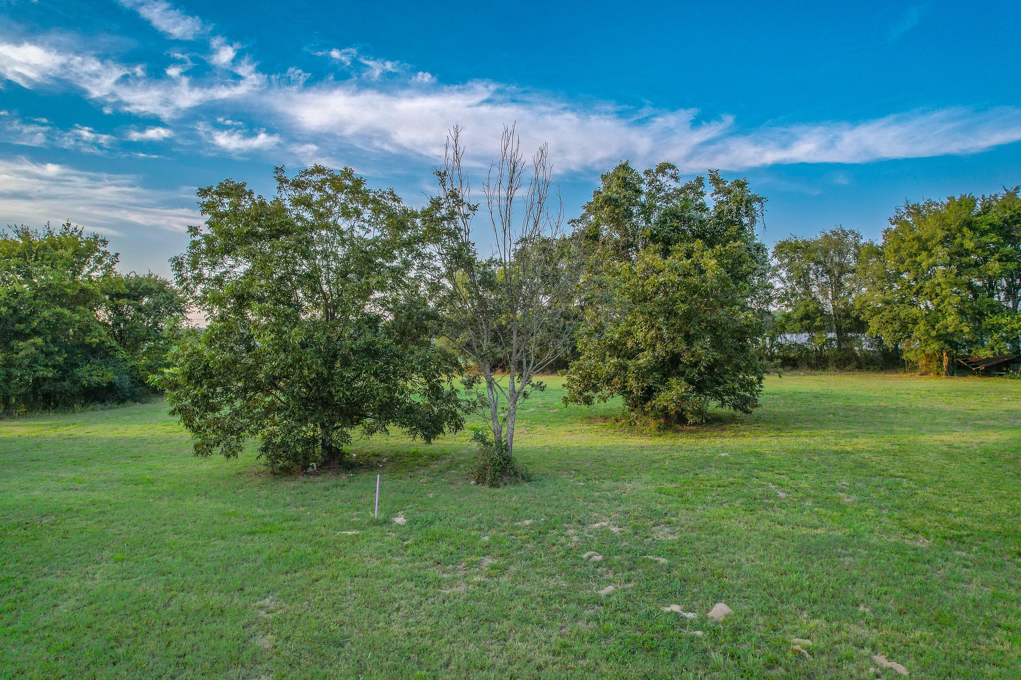 212 Country Lane Malakoff TX 75148