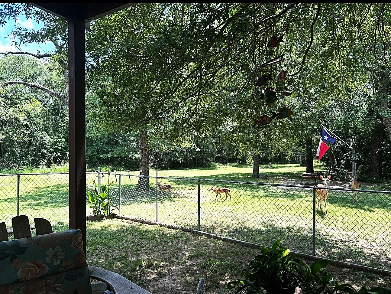 414 Lcr 763 Groesbeck TX 76642