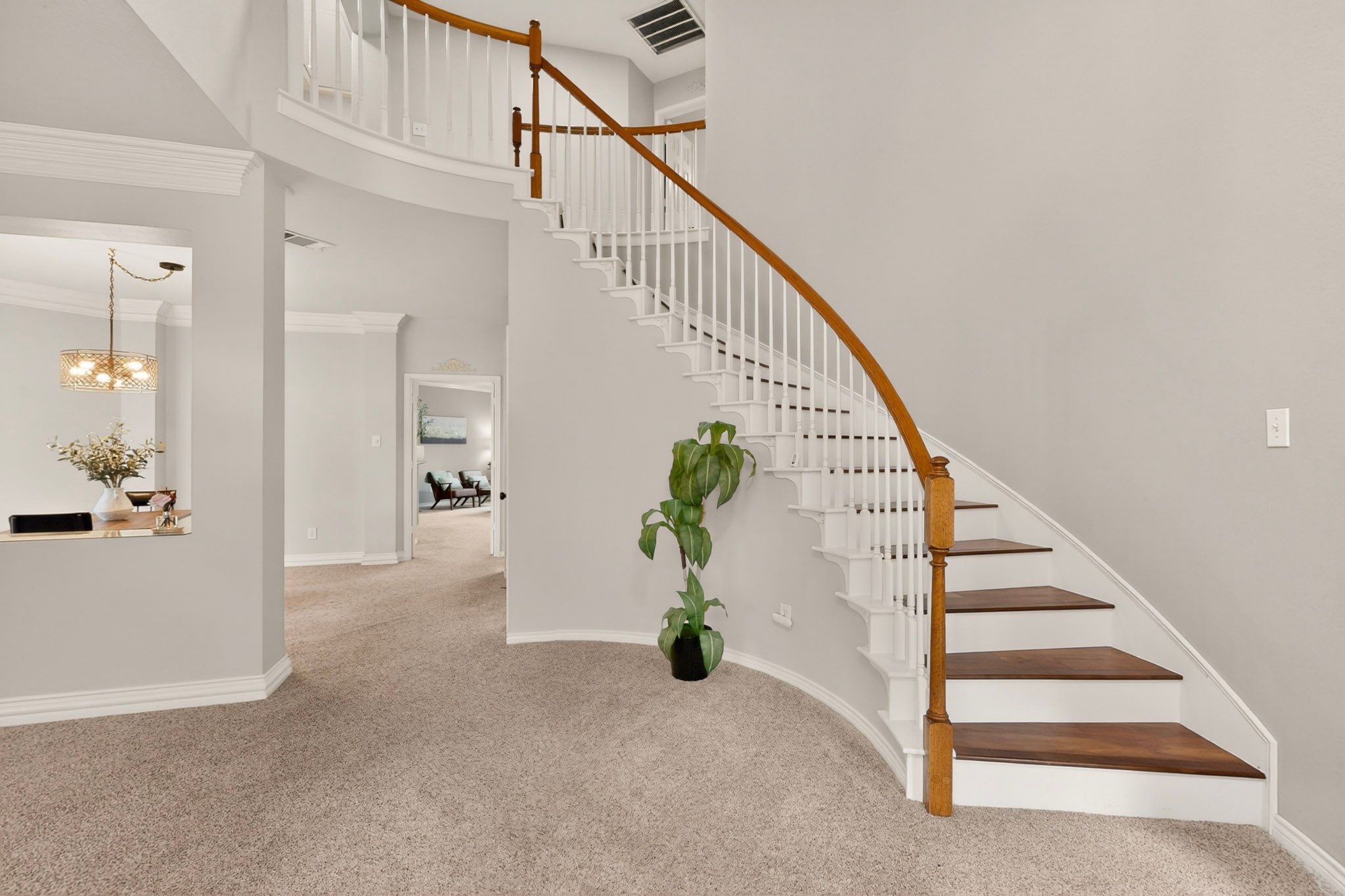 712 Water Oak Drive Plano TX 75025