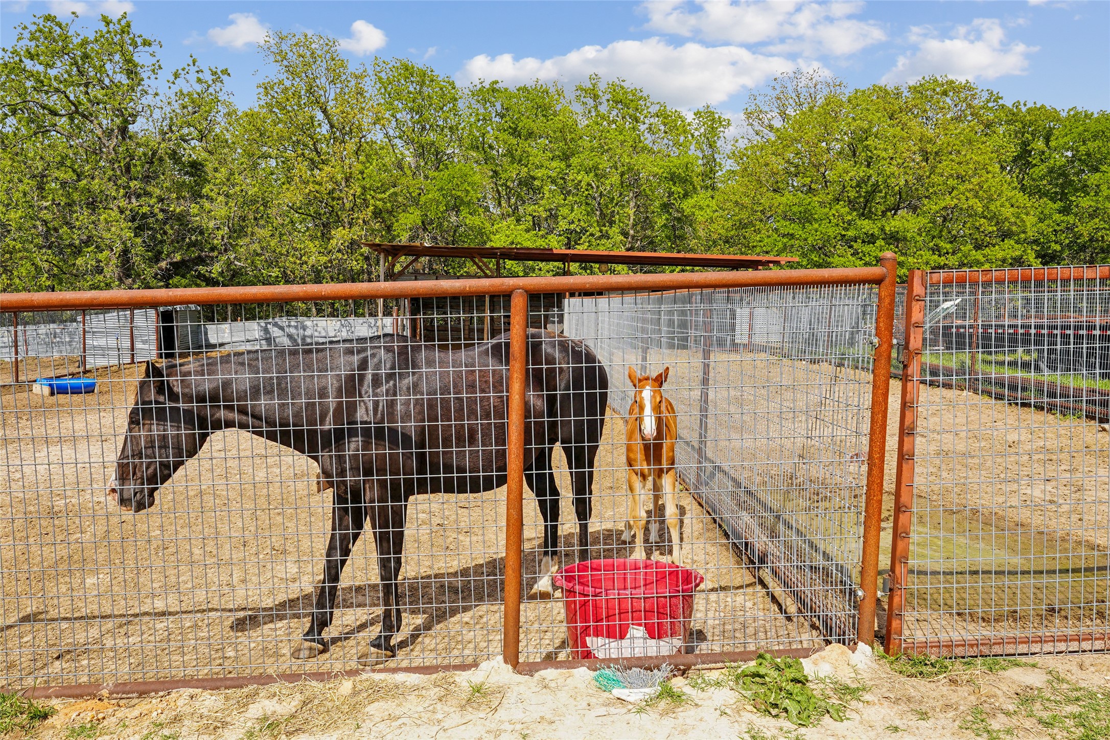 1406 N Johnson Loop Montague TX 76251