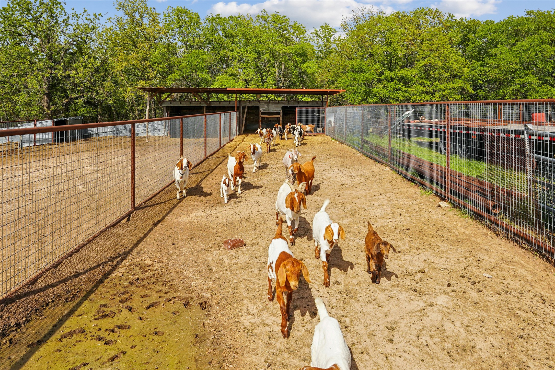 1406 N Johnson Loop Montague TX 76251