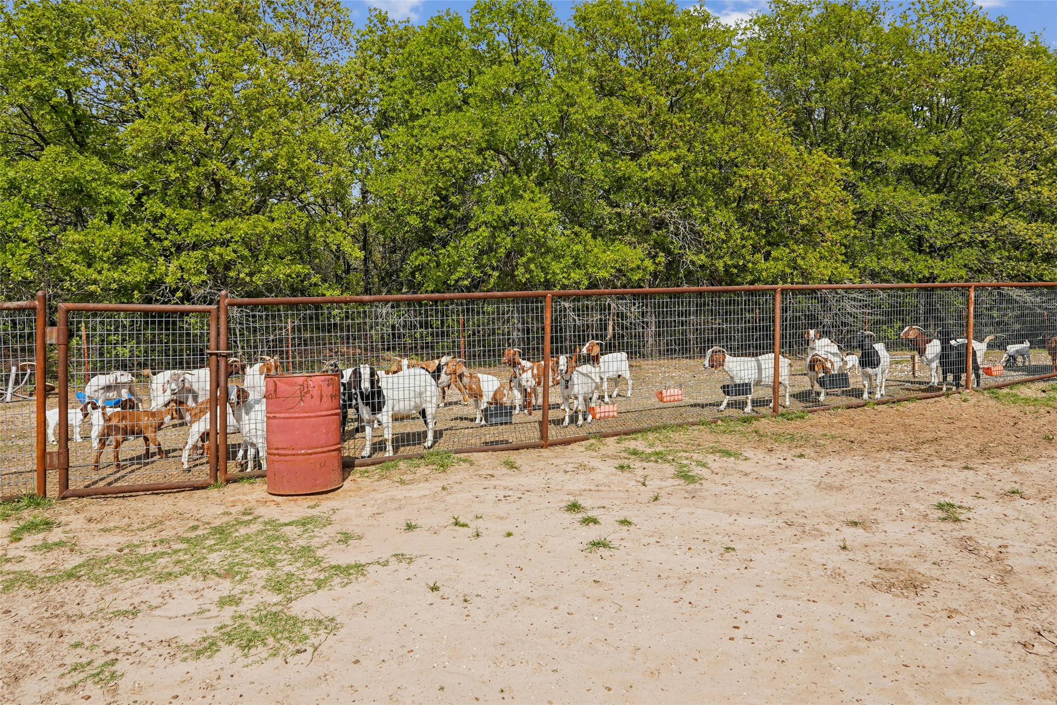 1406 N Johnson Loop Montague TX 76251