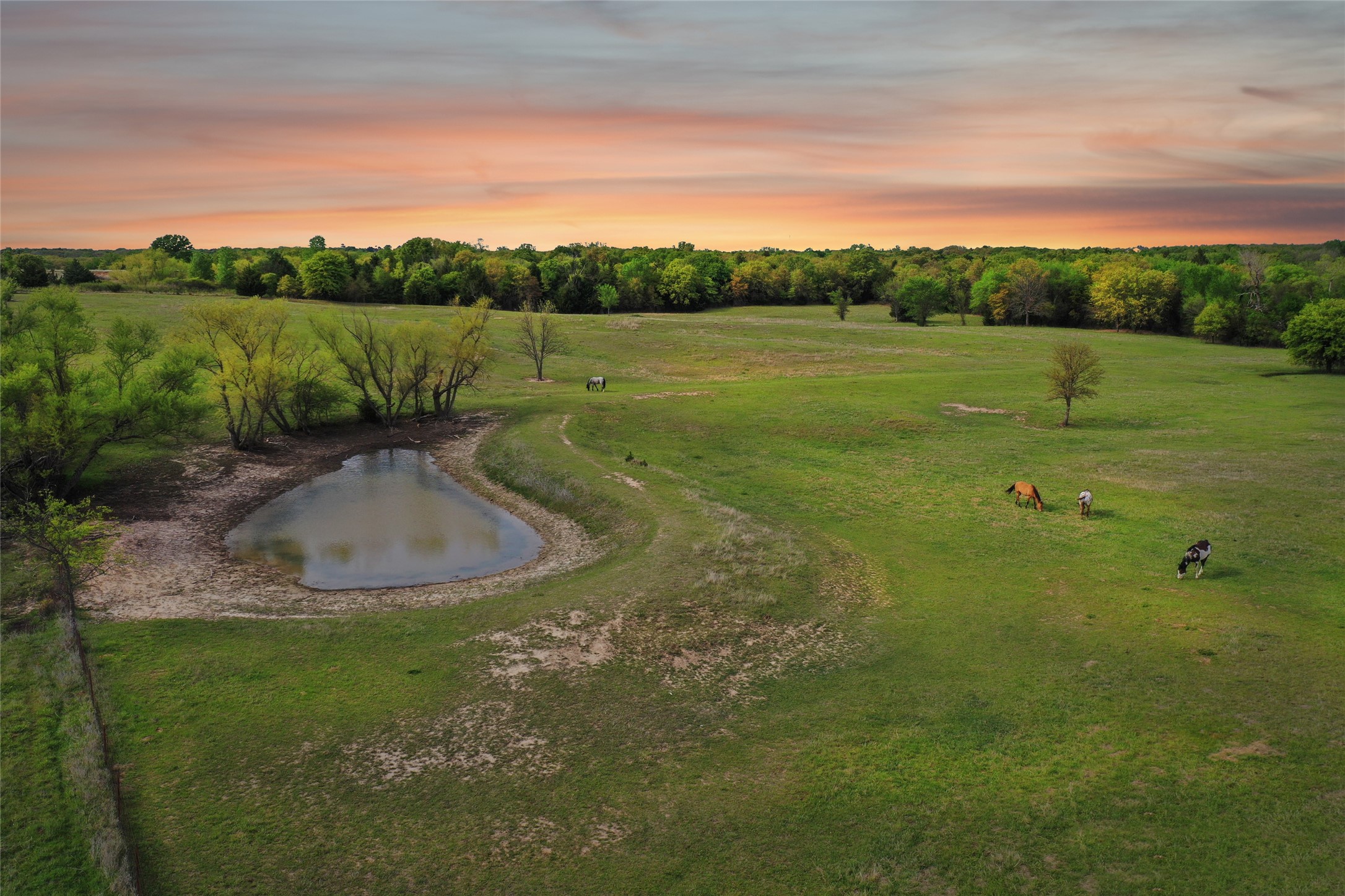 1406 N Johnson Loop Montague TX 76251