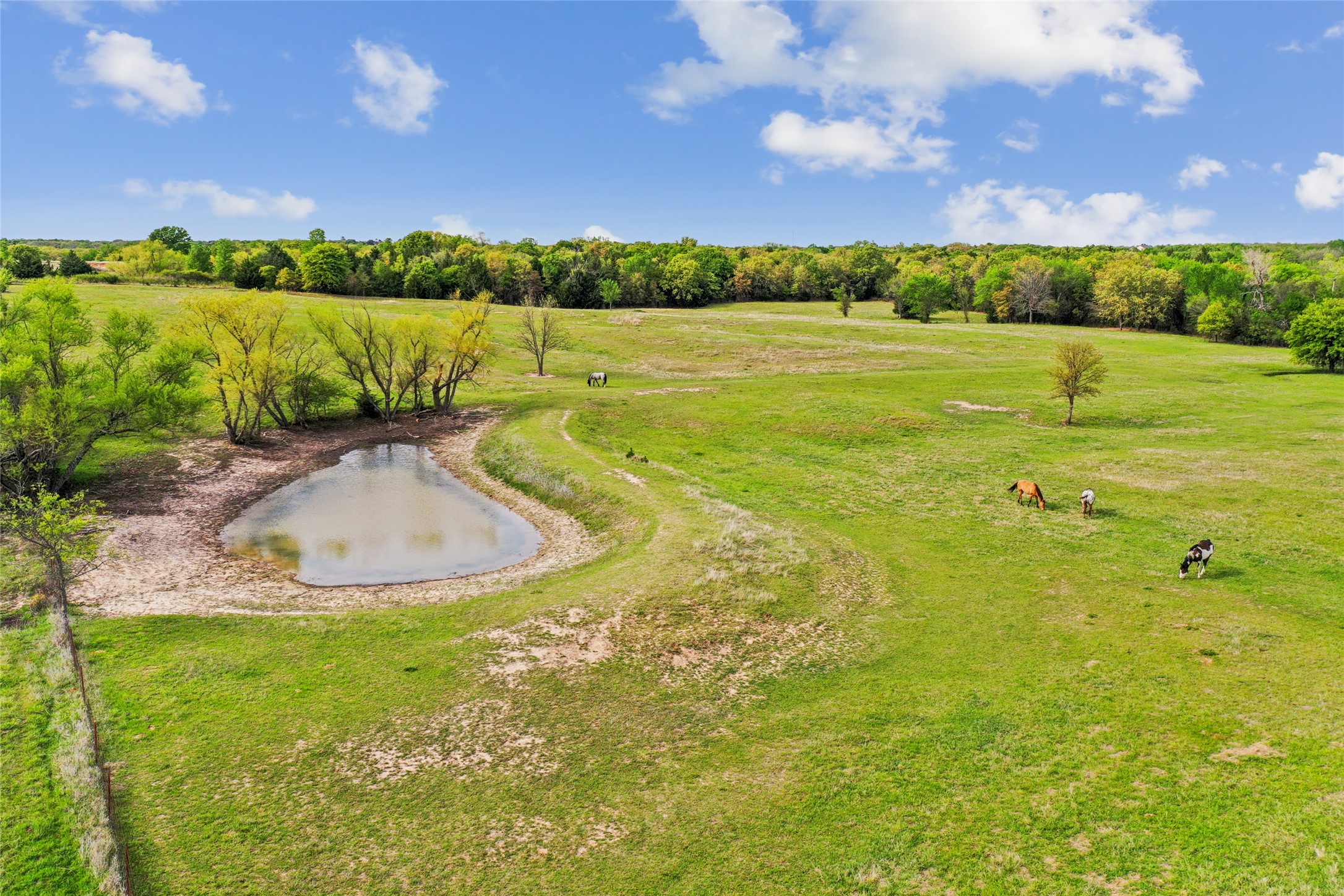 1406 N Johnson Loop Montague TX 76251