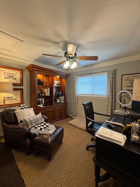 1405 Wind Cave Circle Plano TX 75023