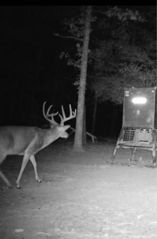 267 Private Road 6294 Palestine TX 75801