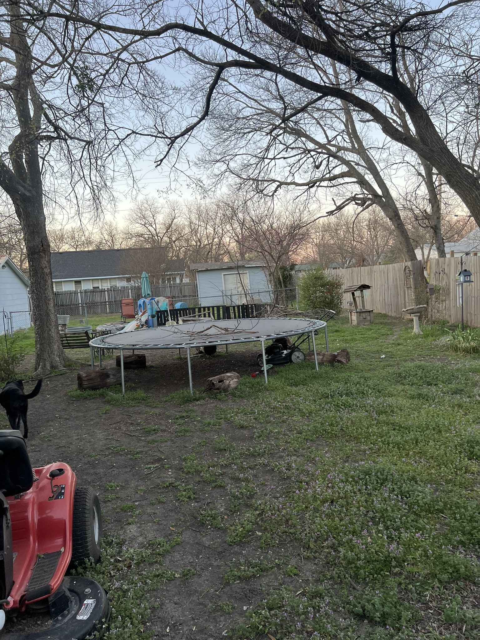 100 E Mulberry Street Leonard TX 75452